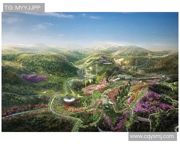 成都乒乓球队在阵地战中的表现分析与未来发展方向探讨